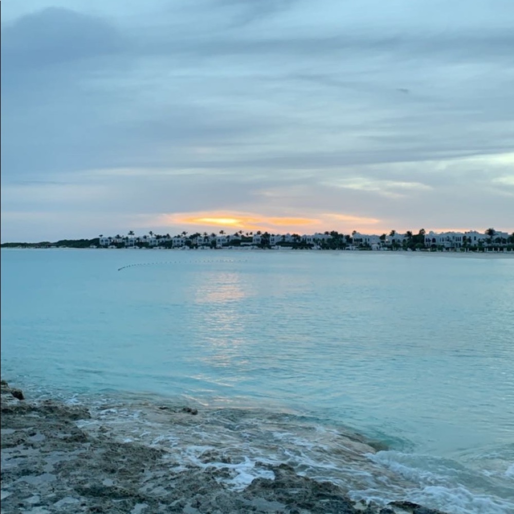 Meet your Posher, Emmy